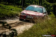15.-adac-msc-rallye-alzey-2017-rallyelive.com-8643.jpg